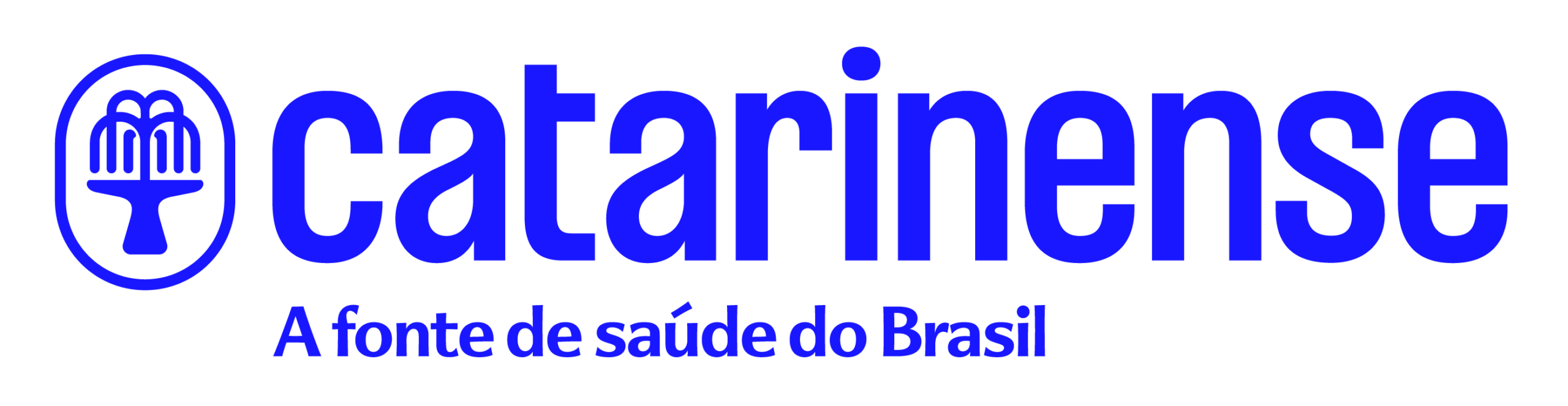 logos-catarinense-marcatag-esq-hor-rgb-1png-wouk3e750r